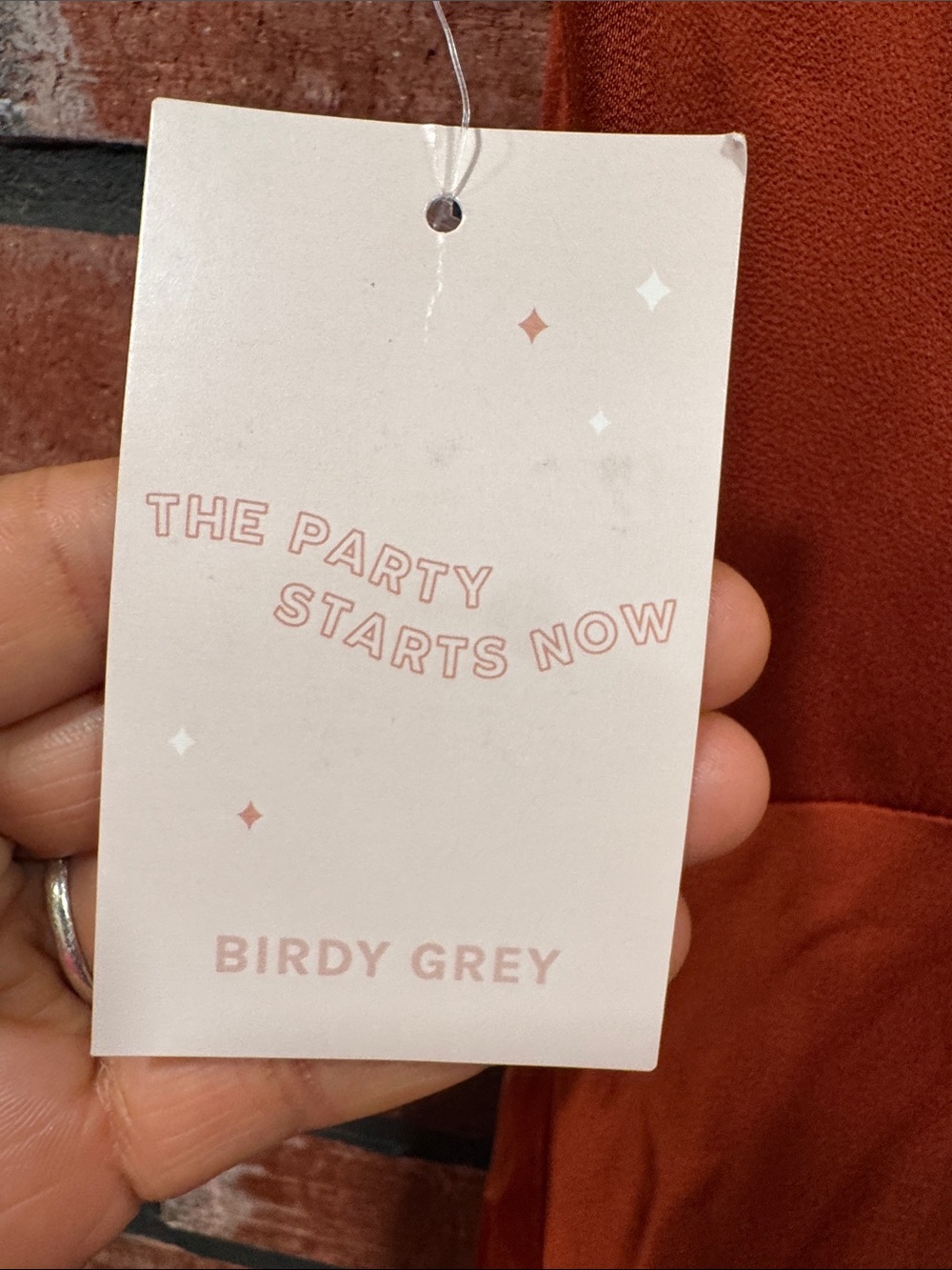 Birdy Grey Alex Dress Matte Satin Auburn - Picture 8 of 8